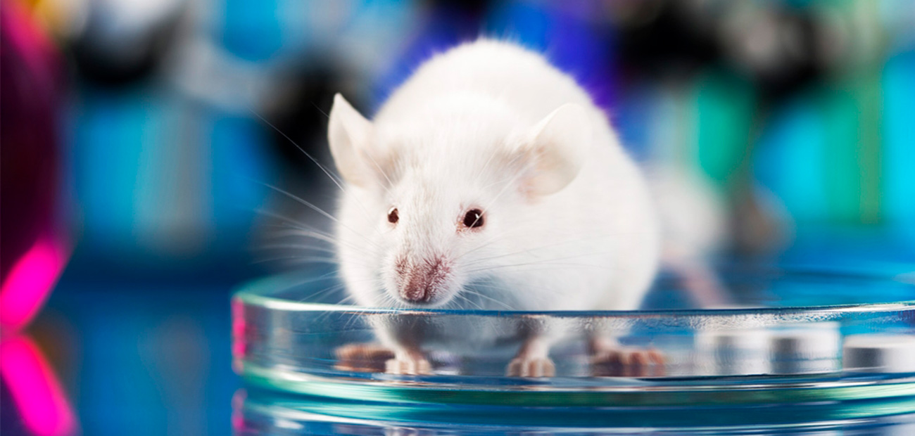 LAL Laboratory Animal Limited