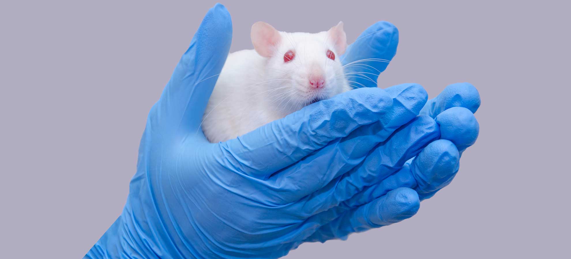 Laboratory Animal Organization